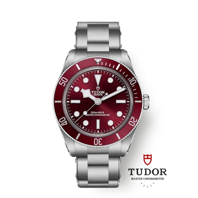 Tudor Black Bay 58