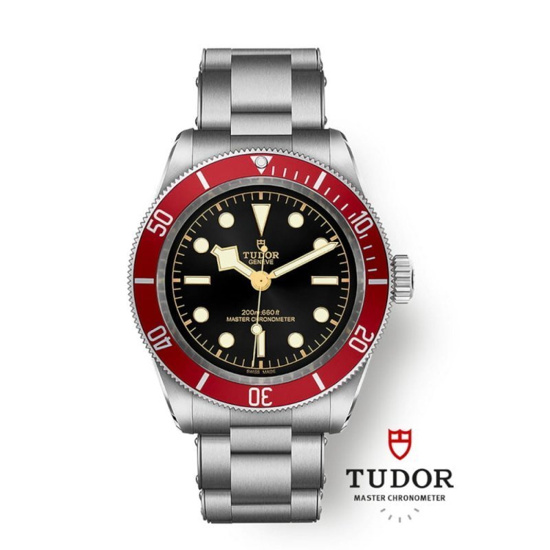 Tudor Black Bay