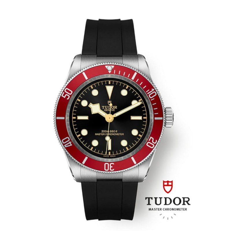 Tudor Black Bay