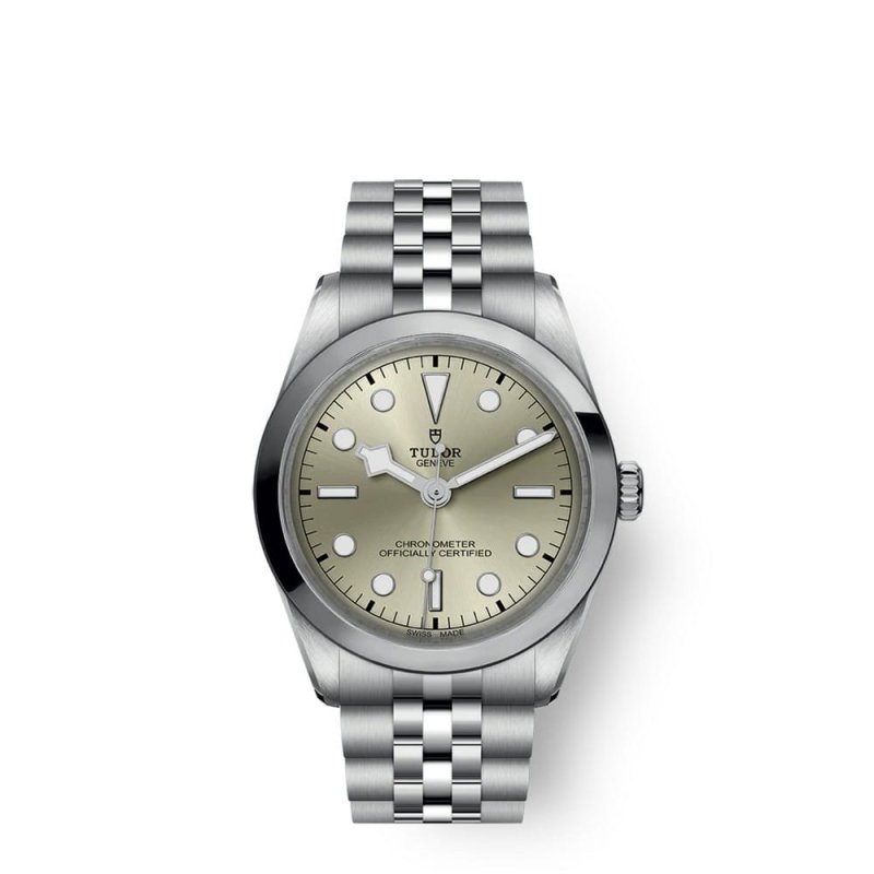 Tudor Black Bay 36