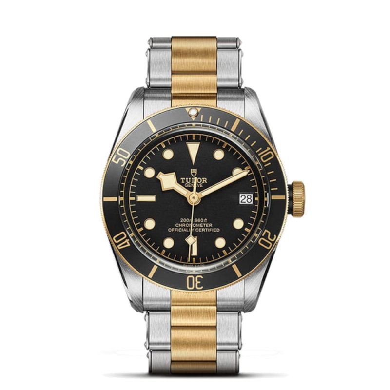 Tudor Black Bay S&G